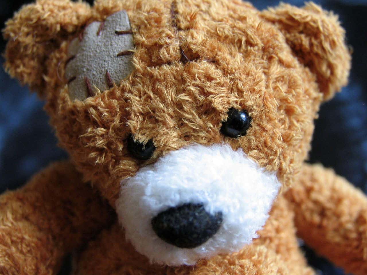 Close-up of a well-loved teddy bear with a patch sewn on its head. The bear has soft, brown fur, shiny black eyes, and a white snout, creating a cute and endearing appearance. The background is a blurred dark blue color.