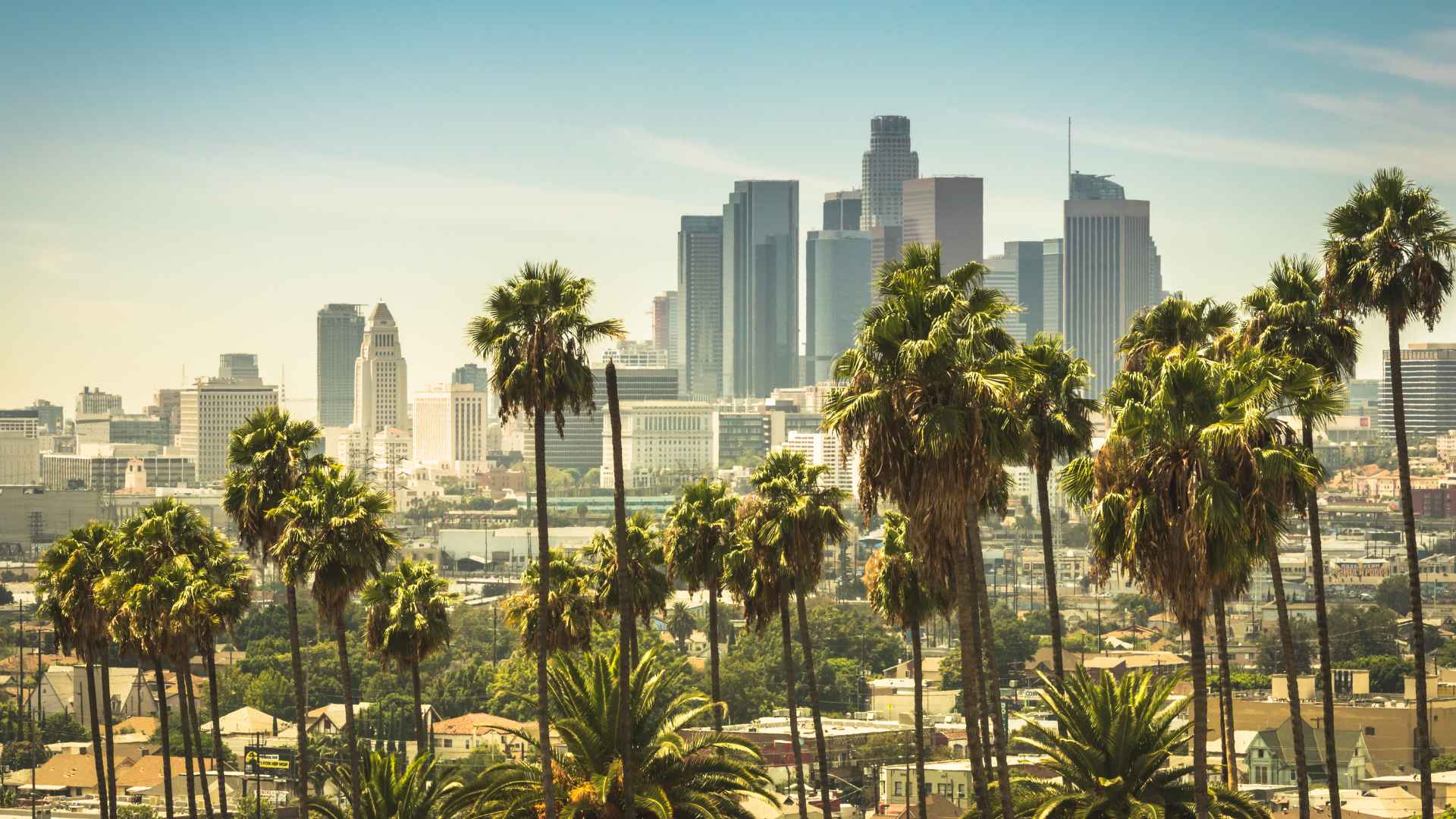 skyline of downtown los angeles in the background with palm trees in the foreground on a sunny day